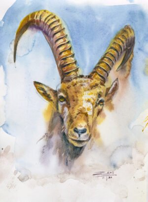 Steinbock