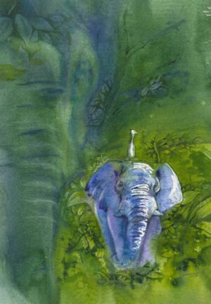 Elephant India